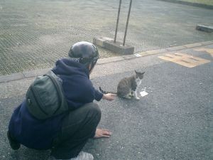 ヒロ君とにゃんこの壮絶な駆け引き