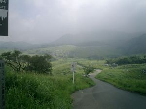 幻想的な道