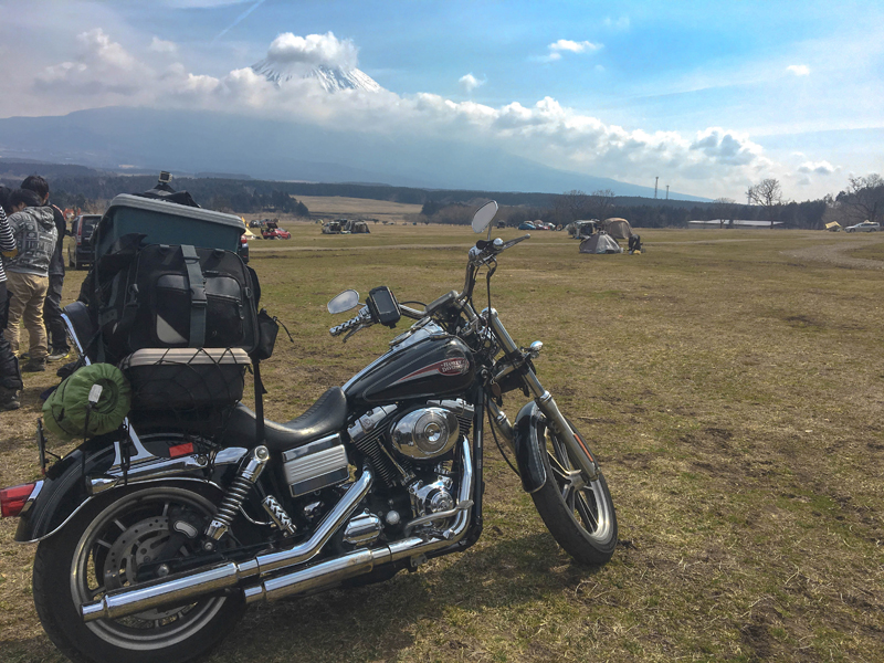 ふもっとぱらキャンプ場 Harley-Davidson FXDL Lowrider