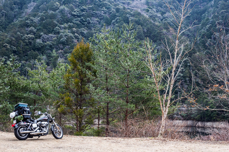 鳳来湖キャンプ場 Harley-Davidson FXDL Lowrider