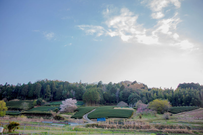 府道62号線