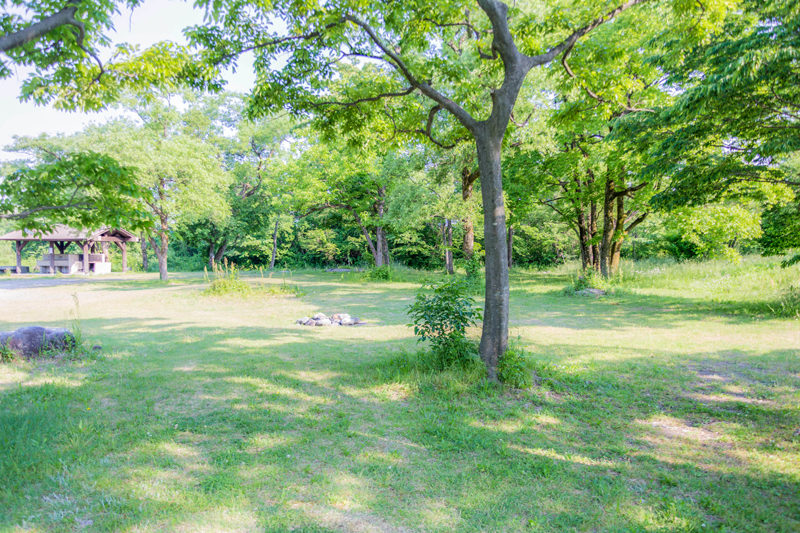 墓ノ木自然公園キャンプ場