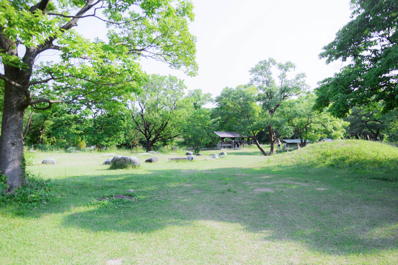 墓ノ木自然公園キャンプ場