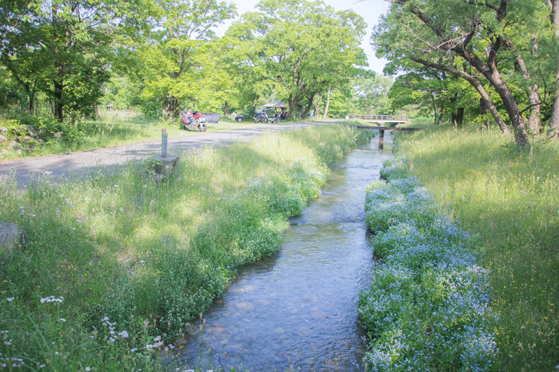 墓ノ木自然公園キャンプ場