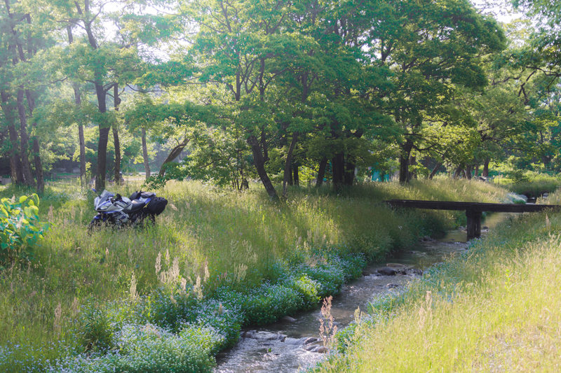 墓ノ木自然公園キャンプ場 YZF-R15