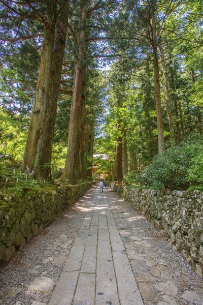 宝積山光前寺 杉並木道