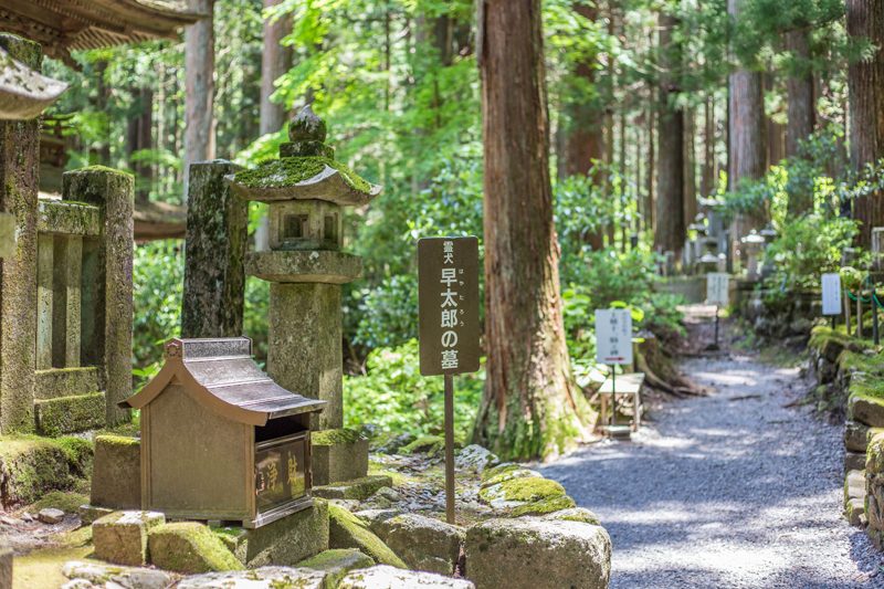 宝積山光前寺 霊犬早太郎