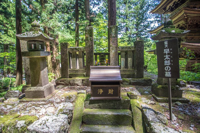 宝積山光前寺 早太郎の墓