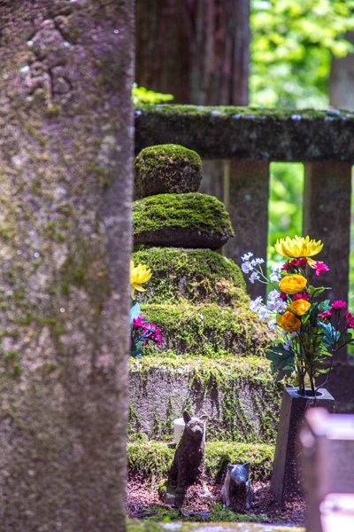 宝積山光前寺 早太郎の墓