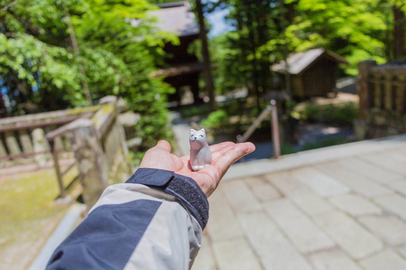 宝積山光前寺 早太郎みくじ